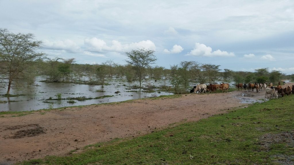 Floods at Bridge