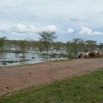 Floods at Bridge